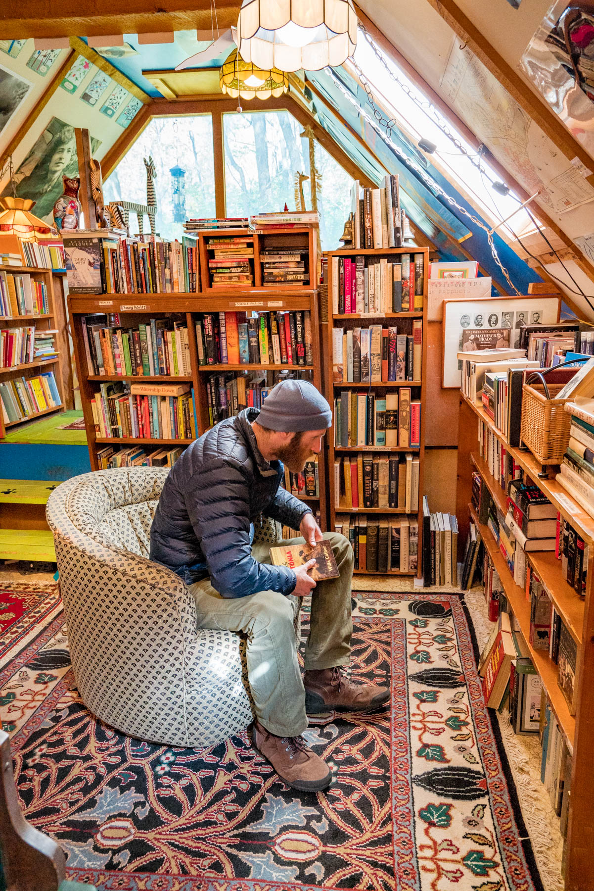 How to Fall in Love in Hillsdale, New York: Rodgers Book Barn