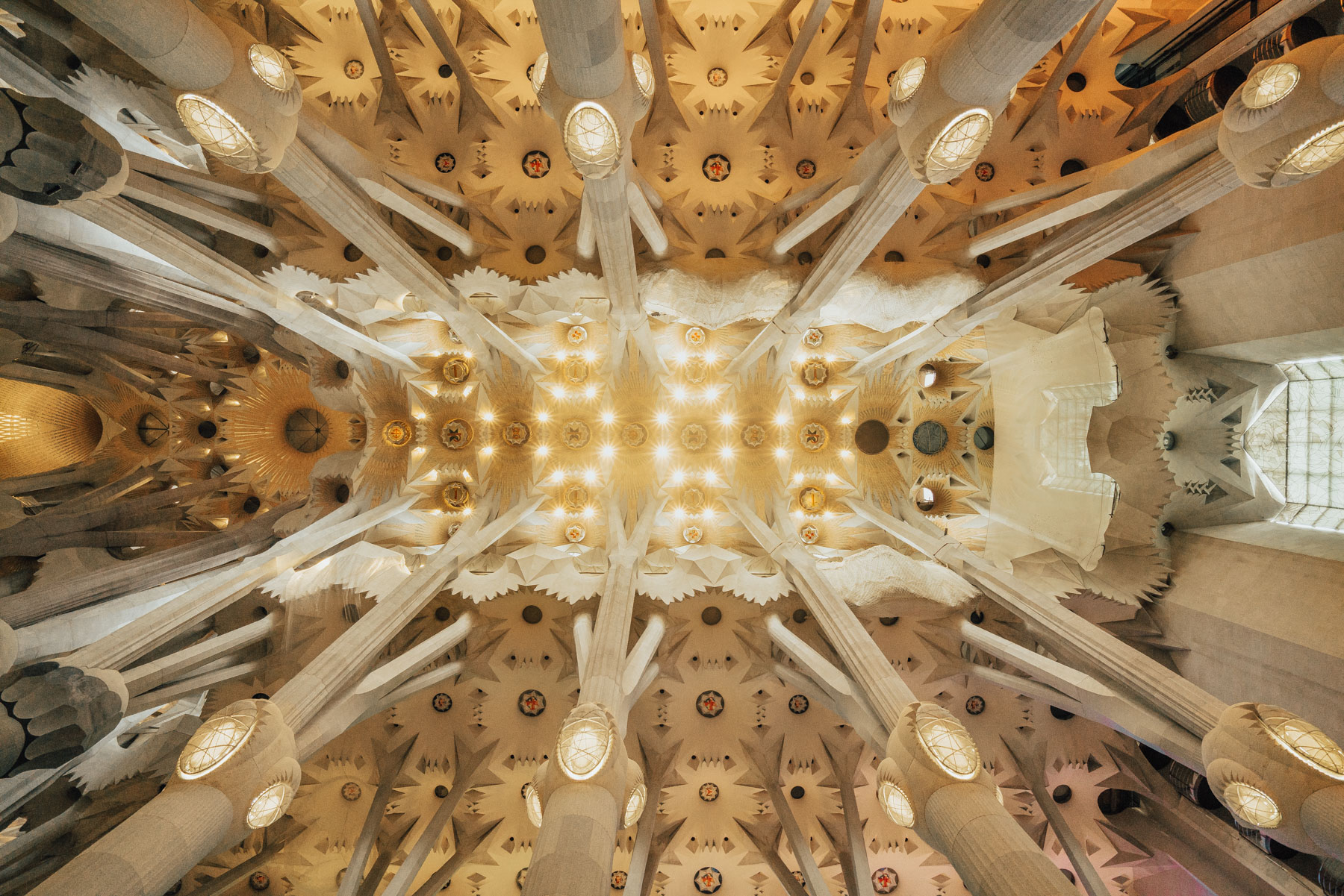La Sagrada Familia ceiling in Barcelona