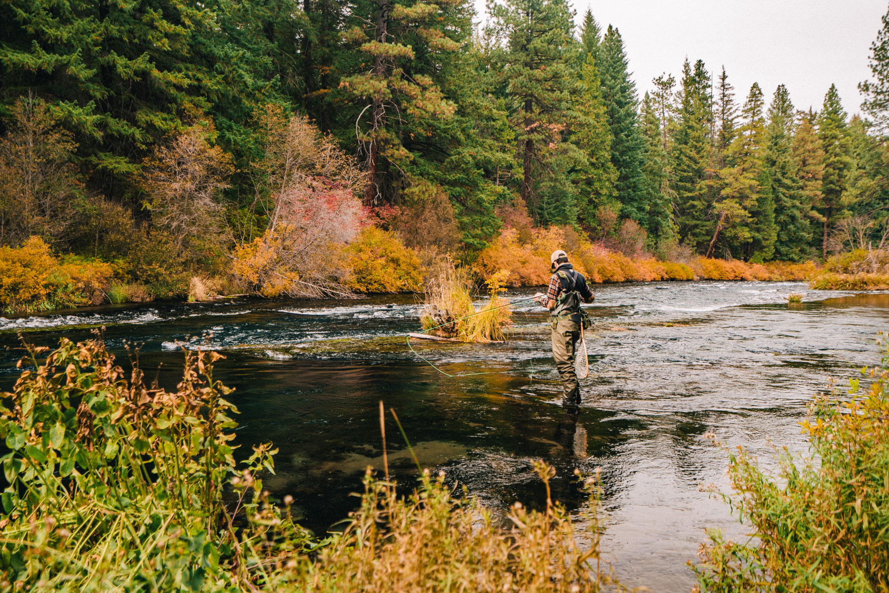 west metolius river fly fishing