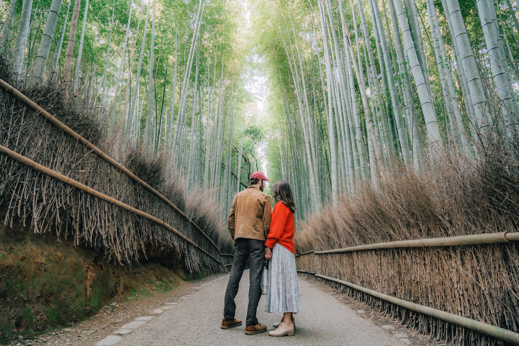Arashiyama Bamboo Forest Kyoto in fall