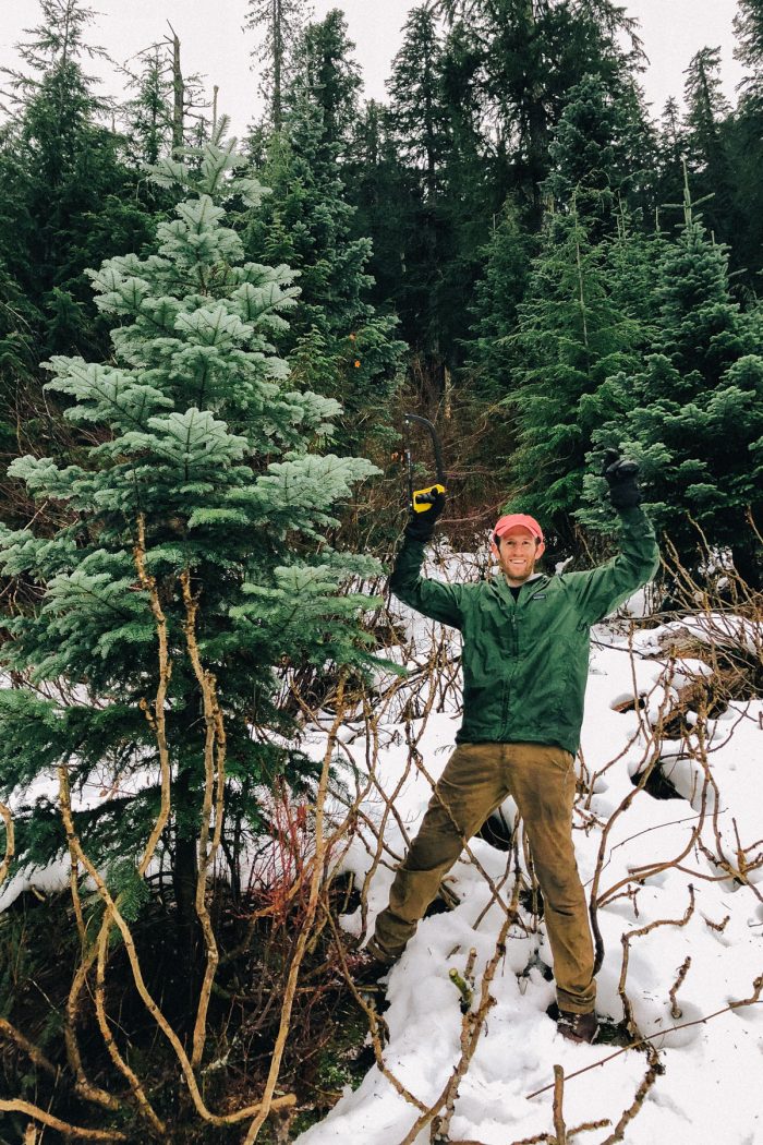 How to (EASILY) Cut Your Own Christmas Tree in a National Forest