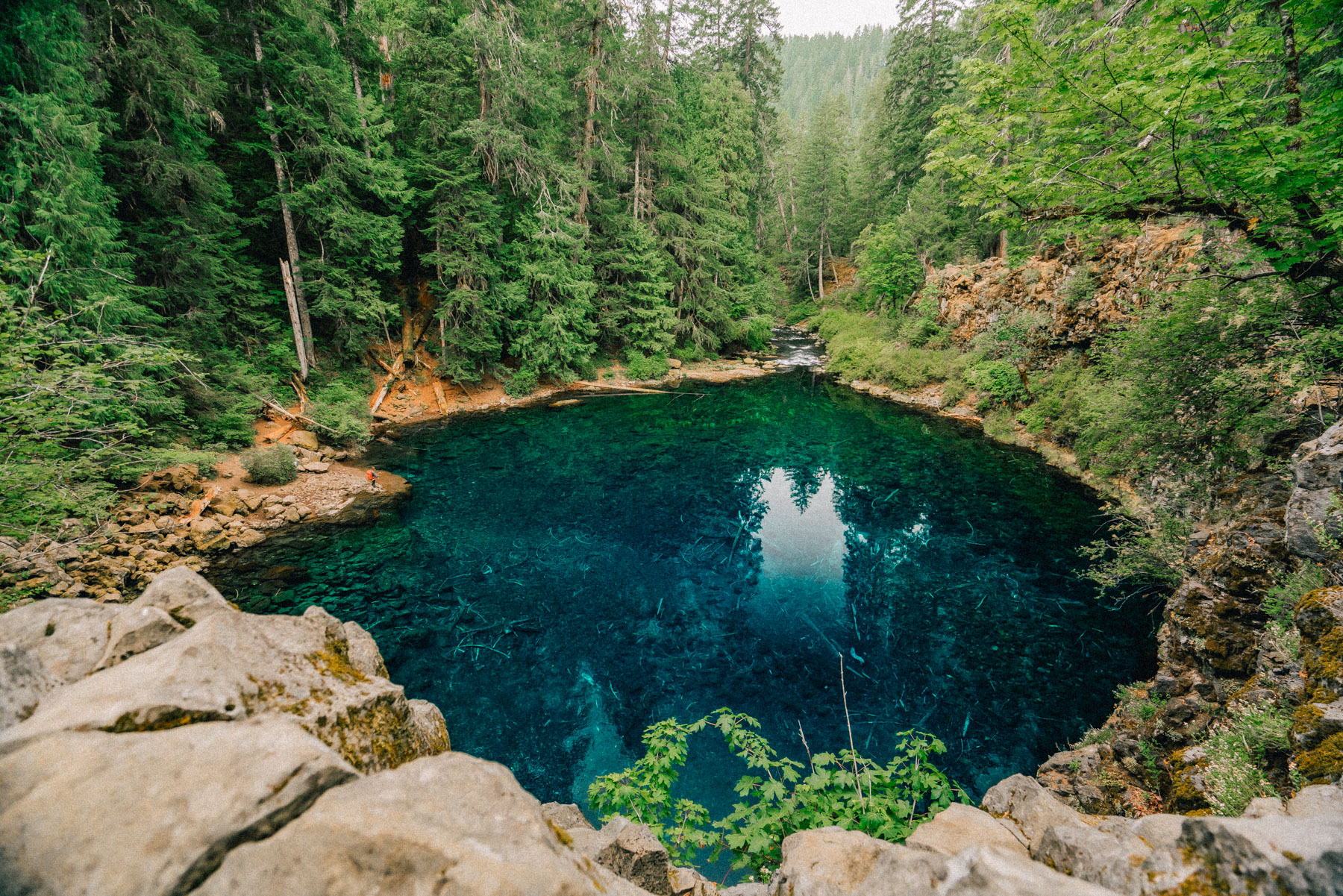 Oregon Blue Pool