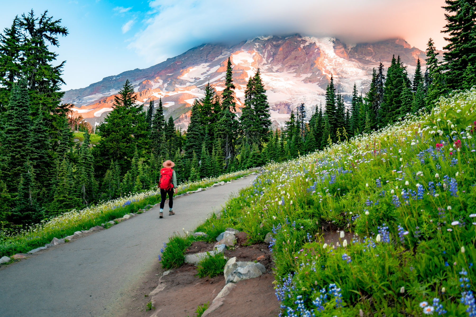 Things to do at Mt. Rainier National Park