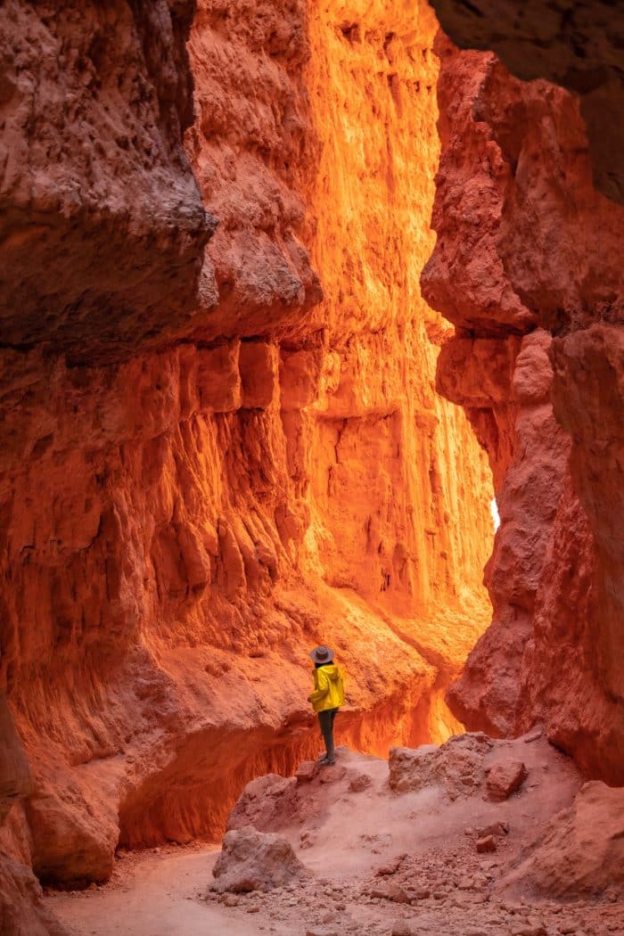 6 Breathtaking Hikes in Bryce Canyon National Park