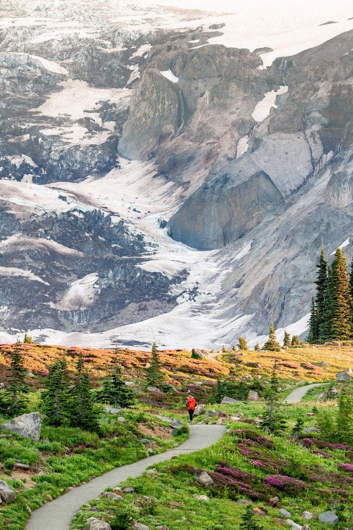 10 JAW-DROPPING Things to Do at Mt. Rainier National Park
