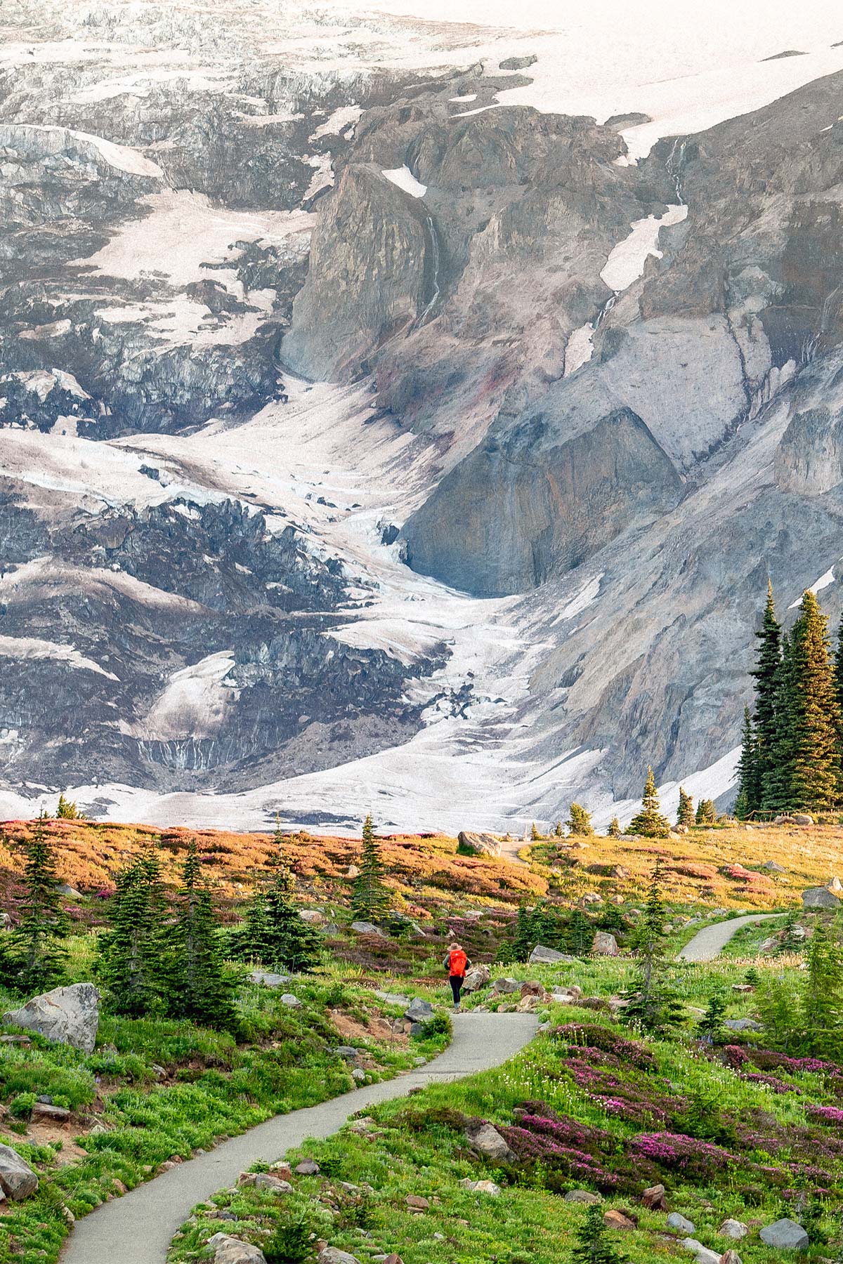 cool things to do at Mt. Rainier