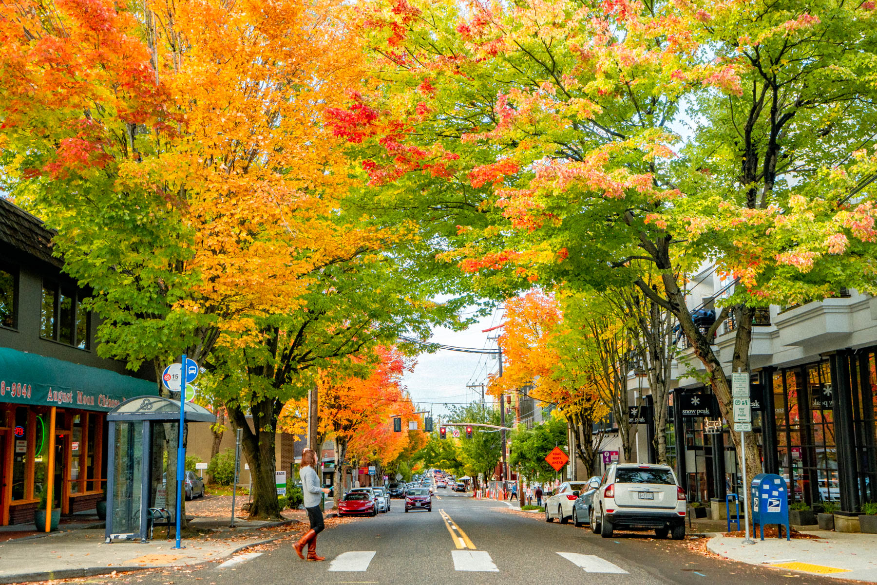 fall color in Portland