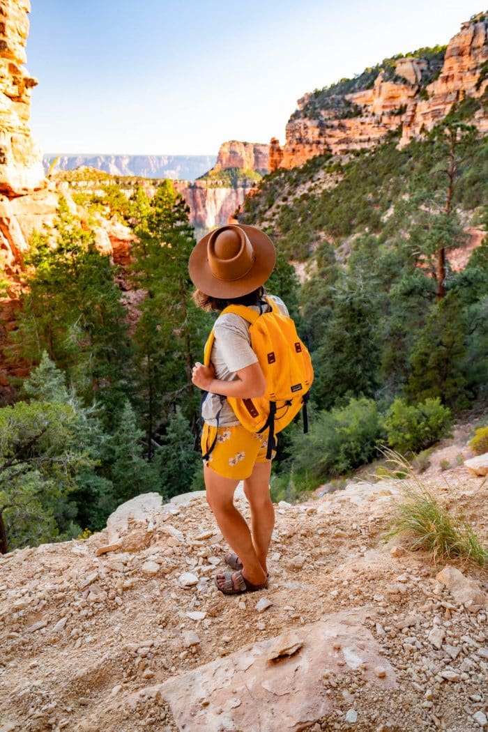 5 BREATHTAKING Grand Canyon North Rim Hikes