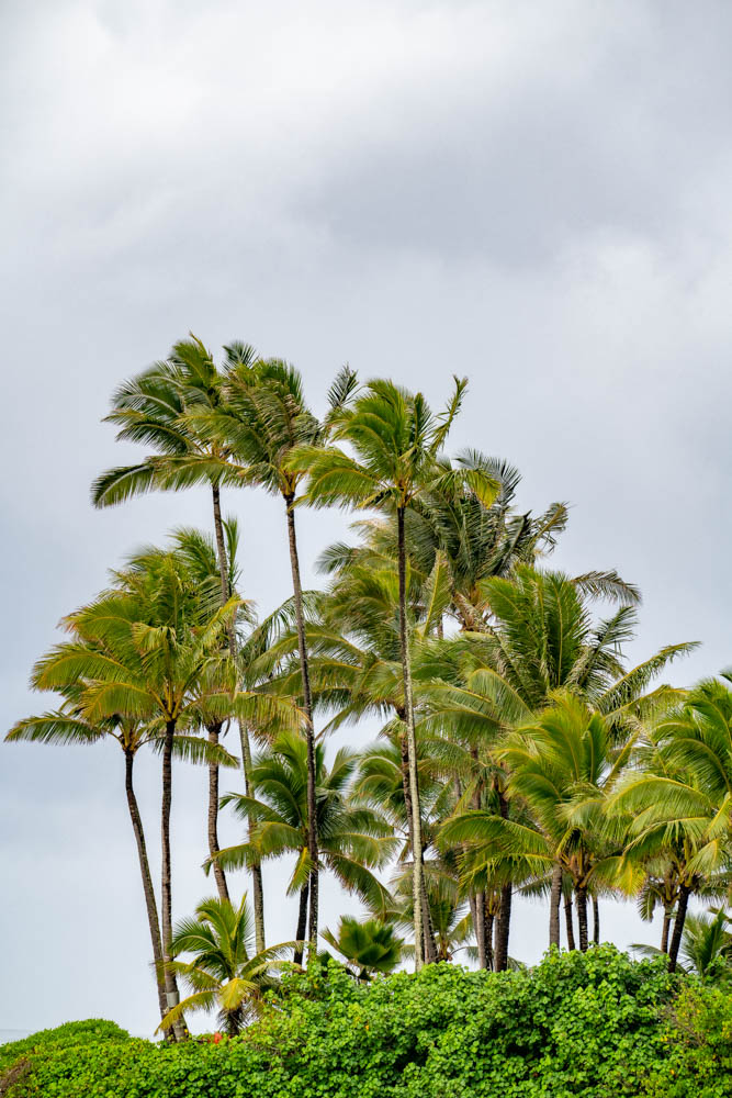 20 Adventurous Things to Do in Honolulu, Oahu