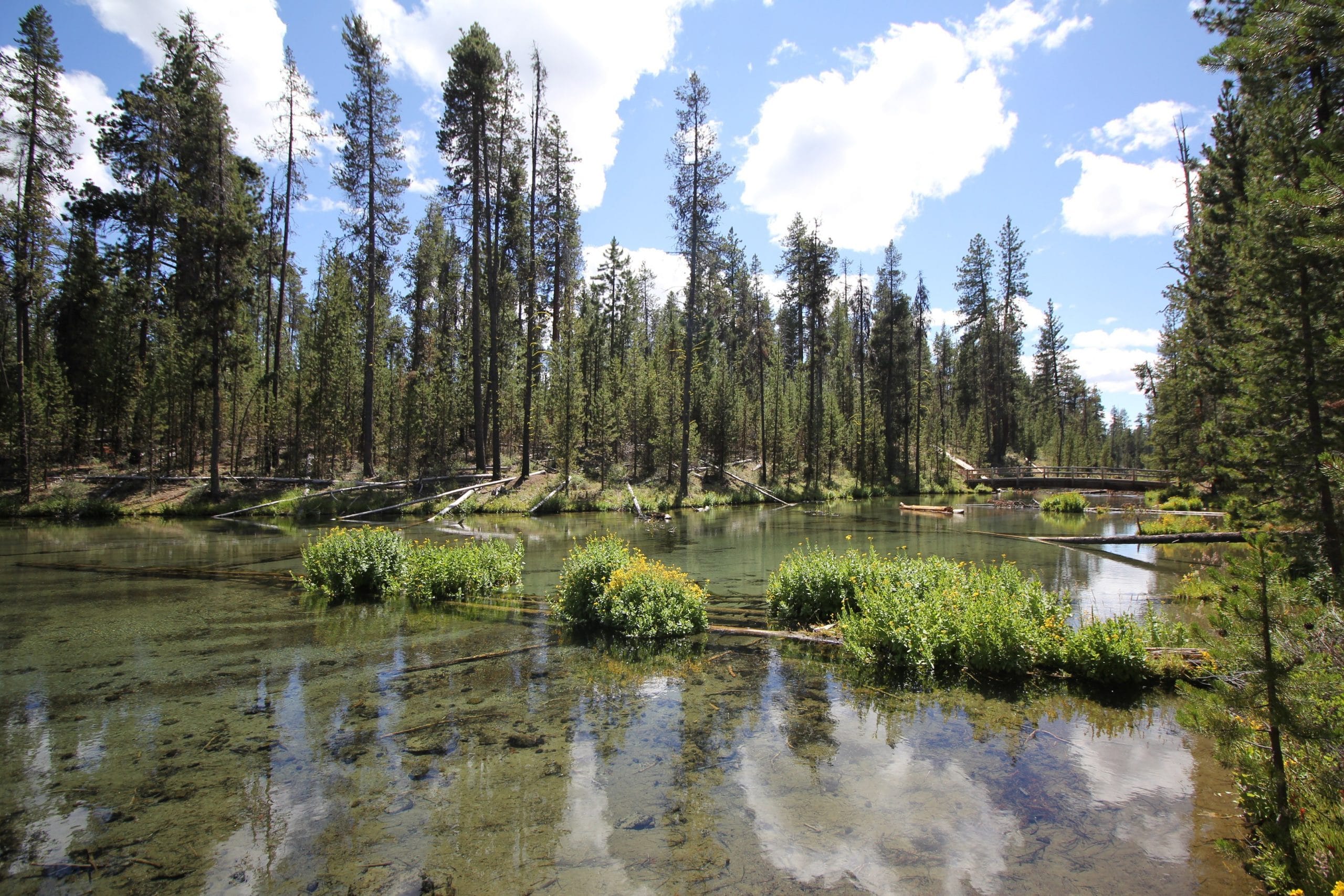 best campgrounds in bend oregon