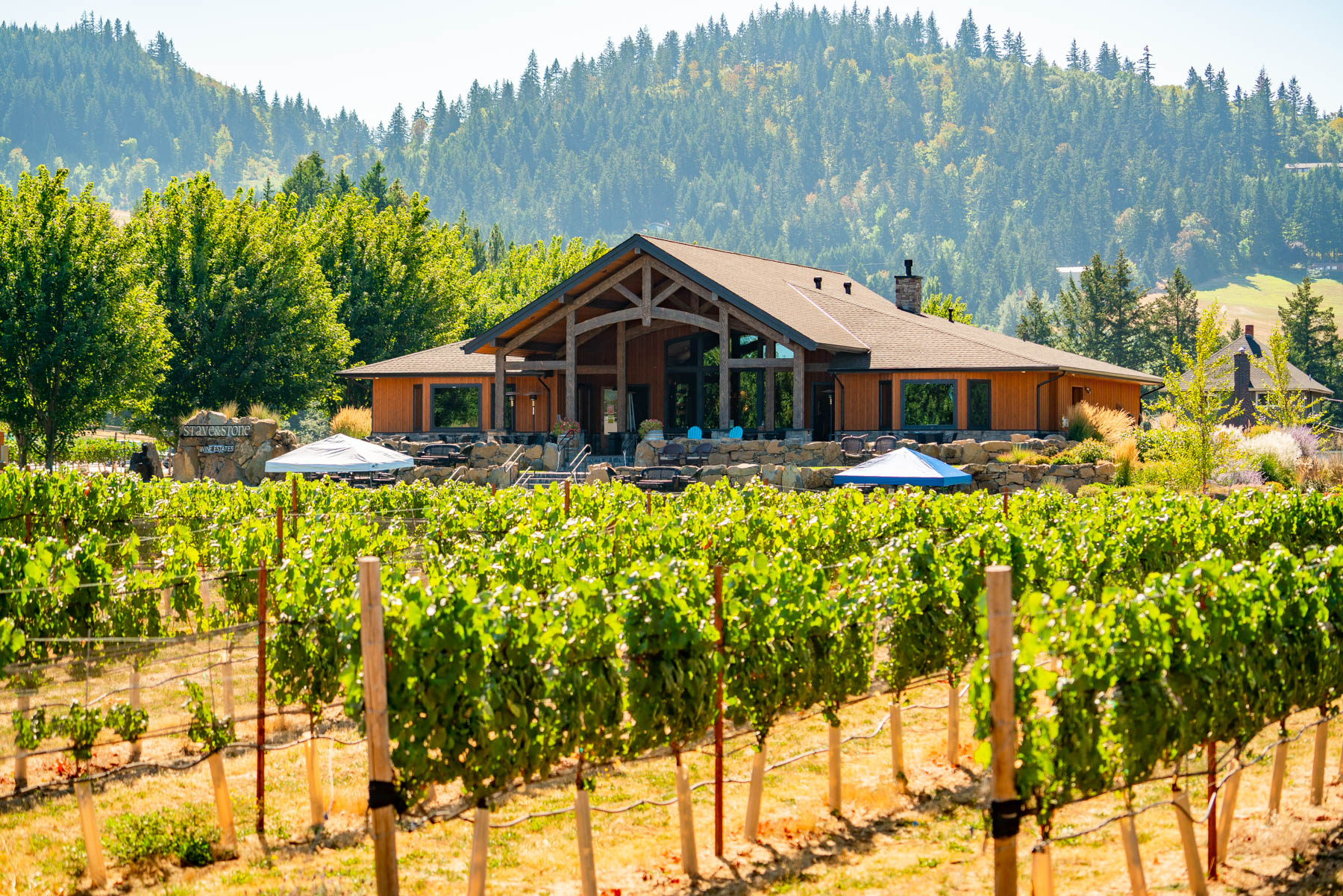 Stave and Stone Winery
best wineries Columbia River Gorge
Best wineries Hood River Oregon