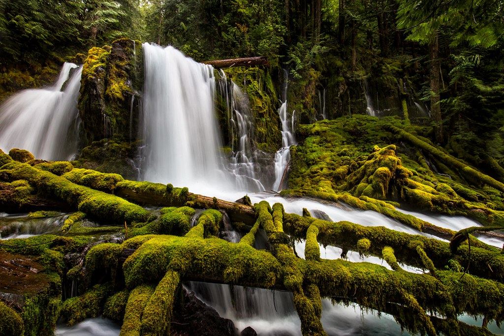 Upper Downing Creek Falls
Best waterfalls Oregon