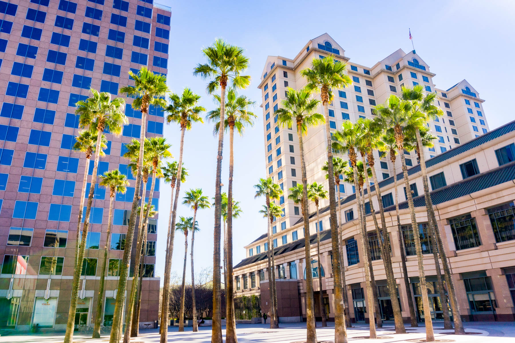 Pros and cons of living in San Jose California